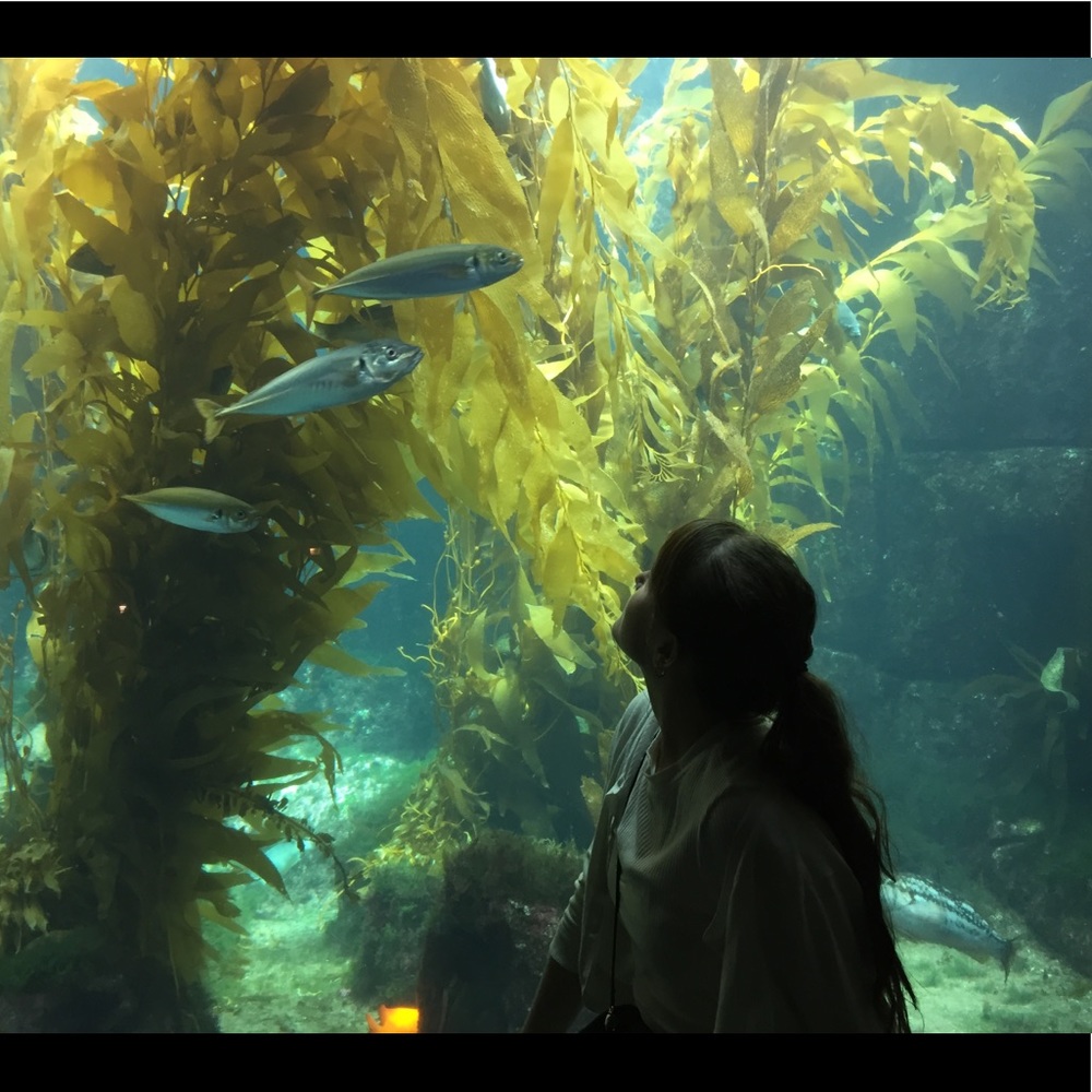 Meet your Posher, Rose